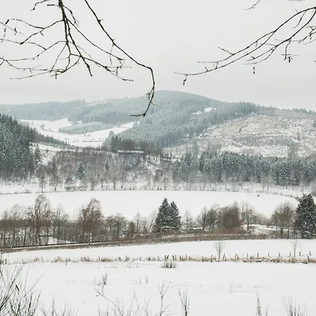 Welcome In - 26-b Am Waldrand Mit Großer Terrasse Winterberg